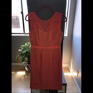 BCBG Dress